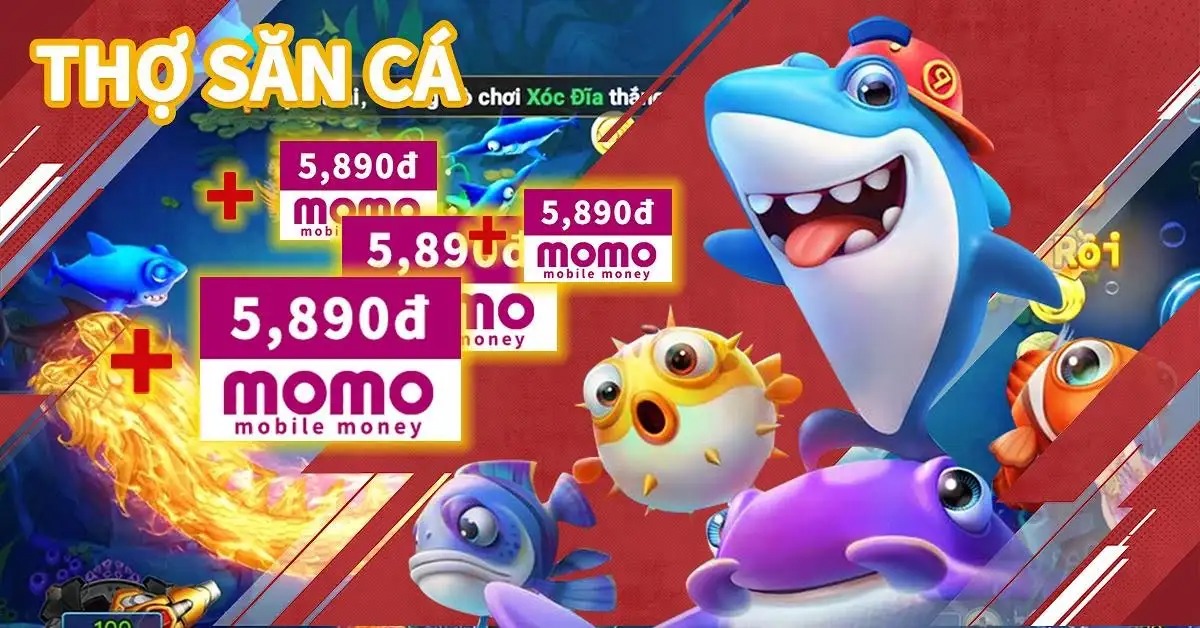 xoc88