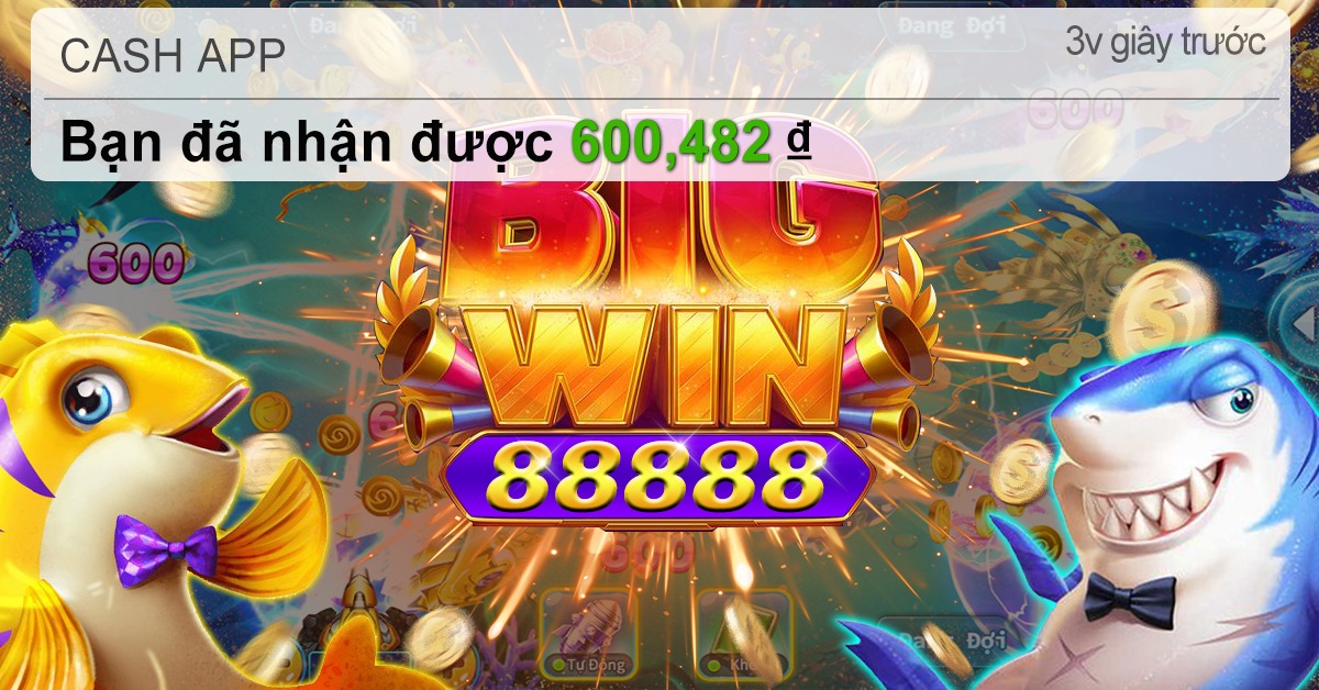 xoc88